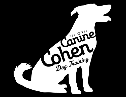 Canine Cohen Dog Training in NYC