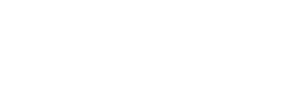 Rescue City